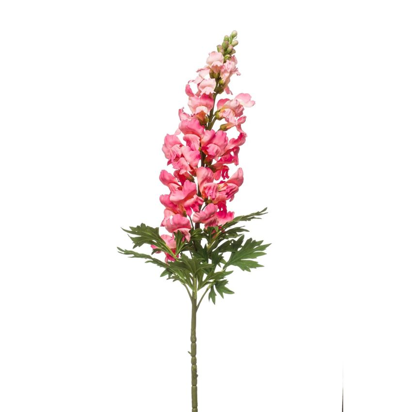 Antirrhinum spray pink 92cm