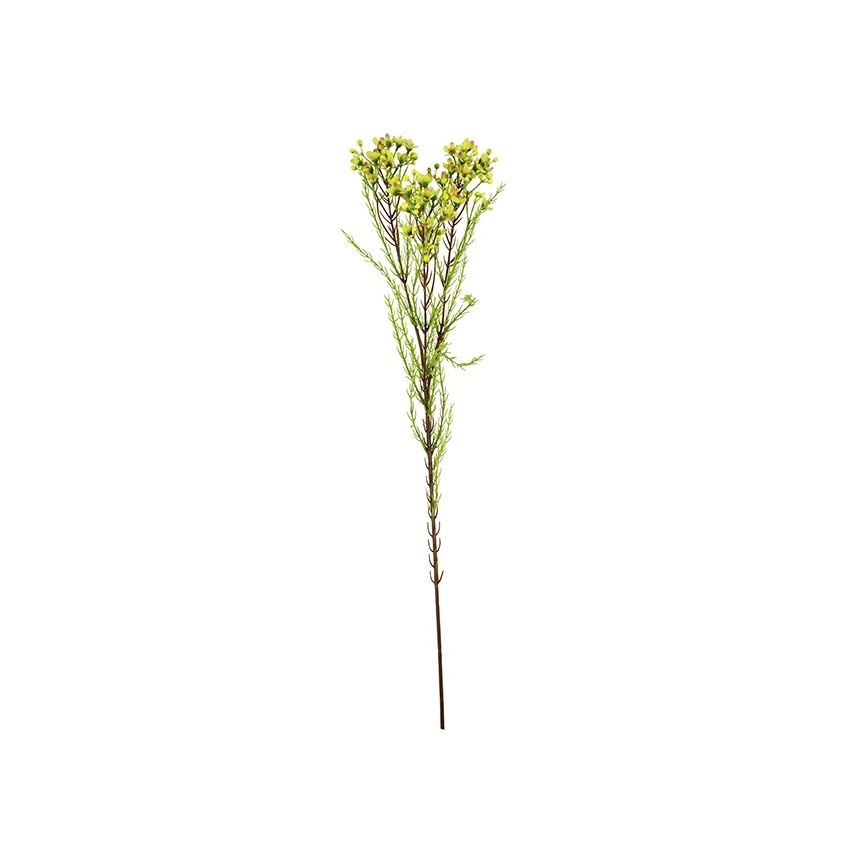 Wax flower spray green 78cm