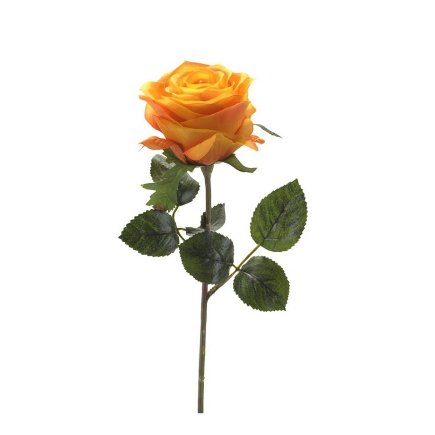 Rose simone spray yellow/orange 45cm
