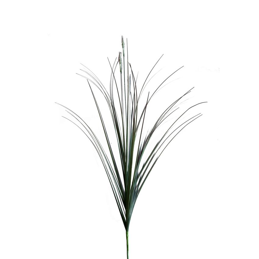 Seed grass spray x3 cream 80cm