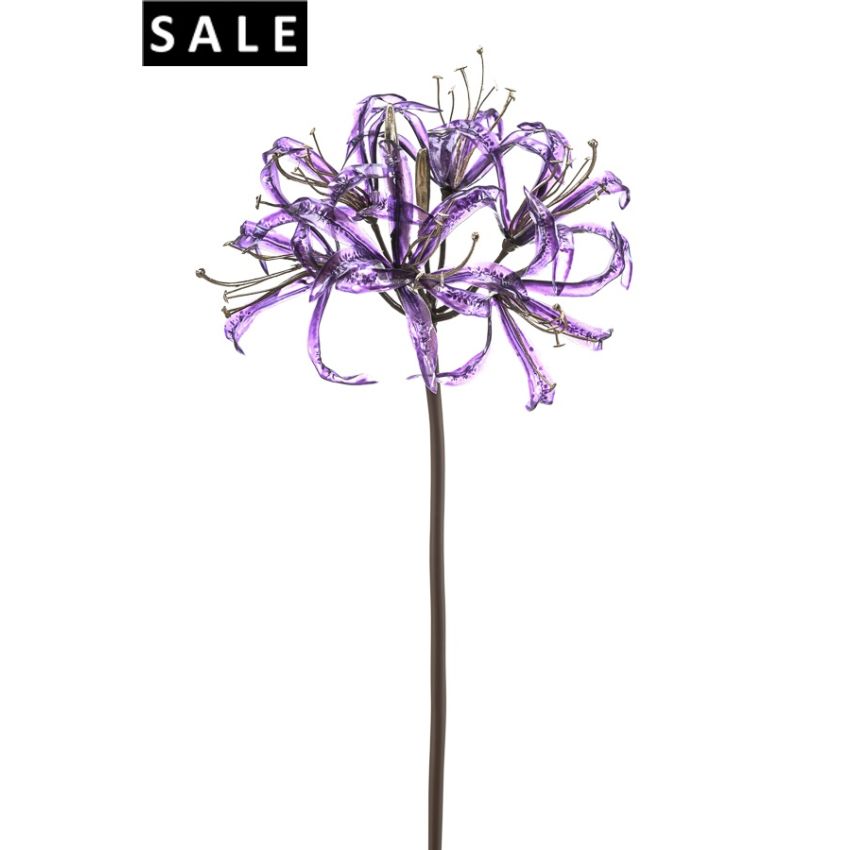 Nerine glamour spray purple 75cm