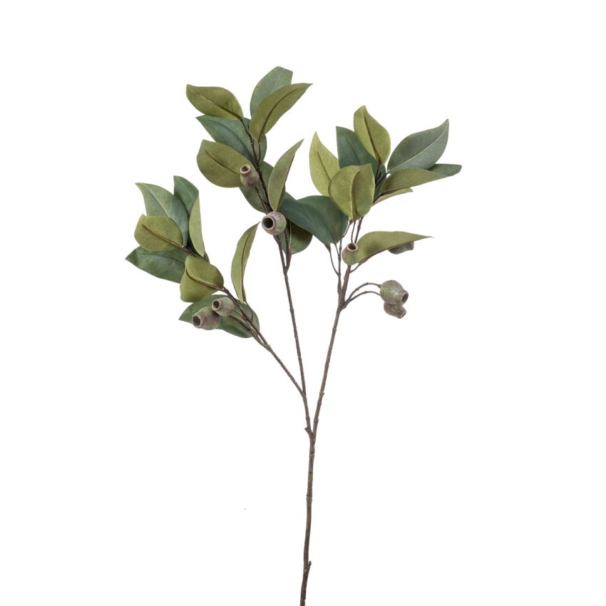 Eucalyptus spray w pods green 80cm