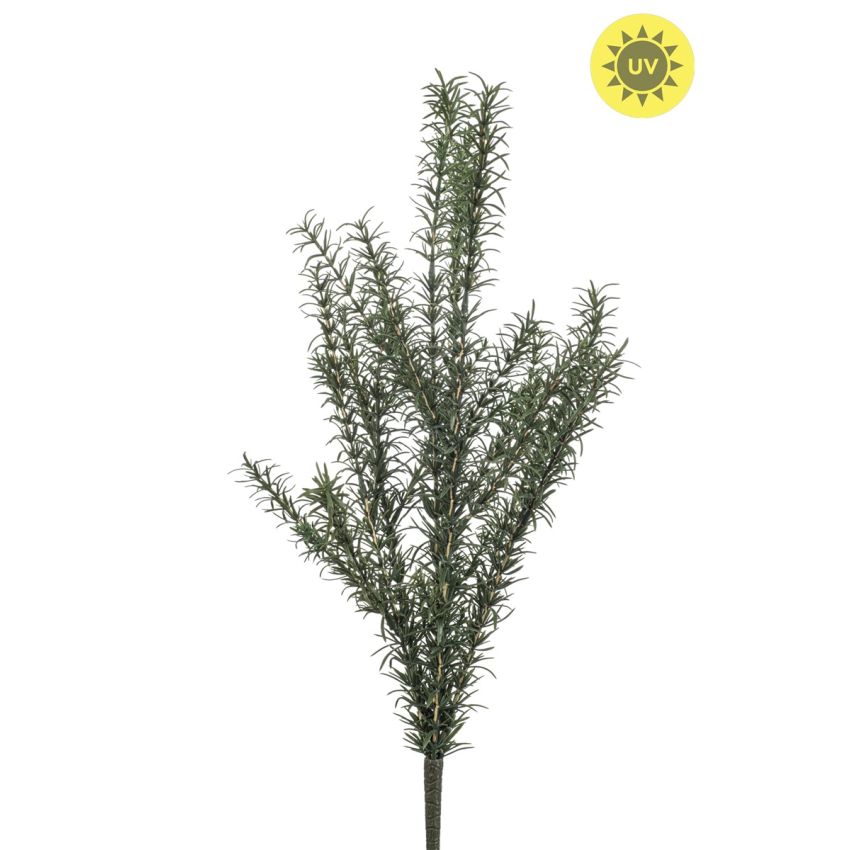 Rosemary bush UV 60cm