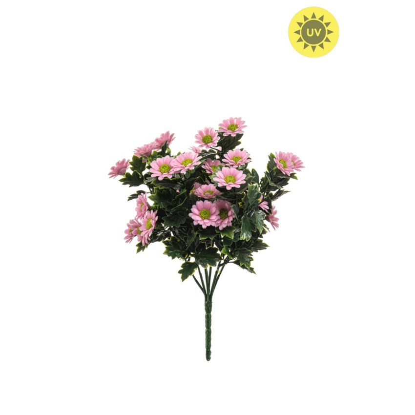Daisy bush UV pink 28cm