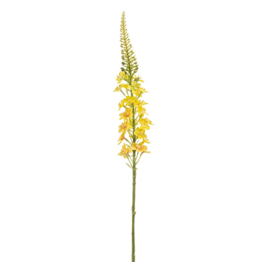 Lysimachia spray yellow 66cm