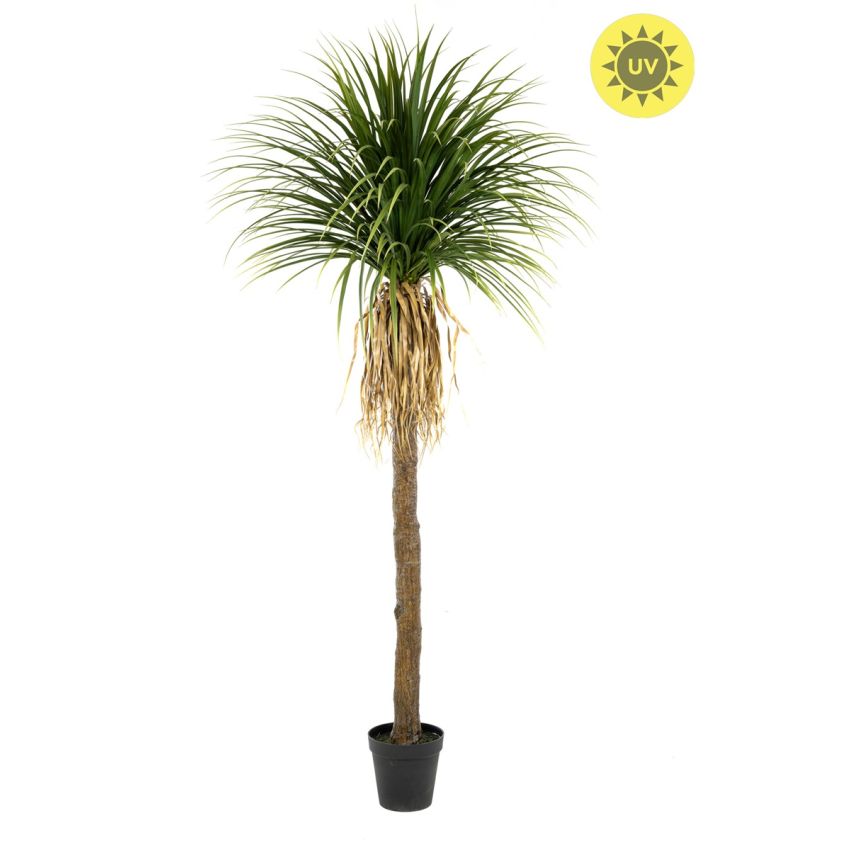 Yucca plant UV 260cm (knock down packing)