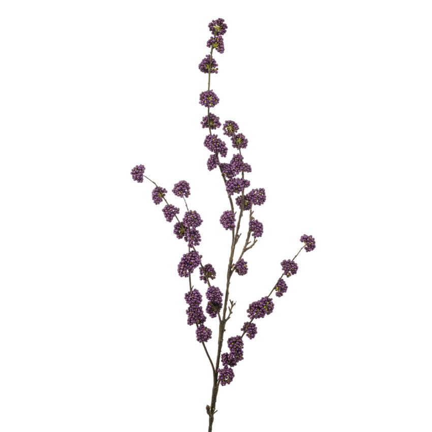 Callicarpa spray purple  125cm