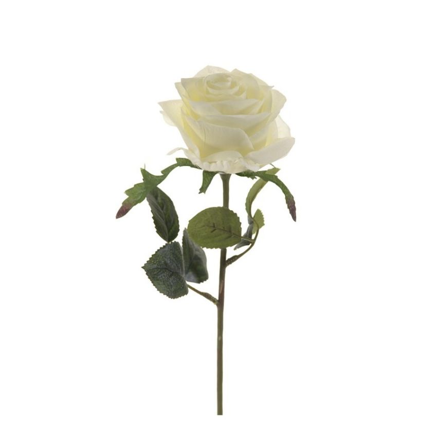 Rose simone spray white 45cm