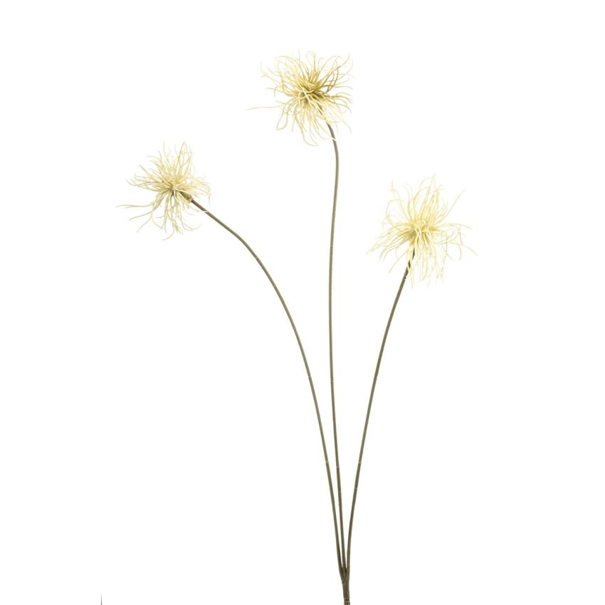 Xanthium spray cream 62cm