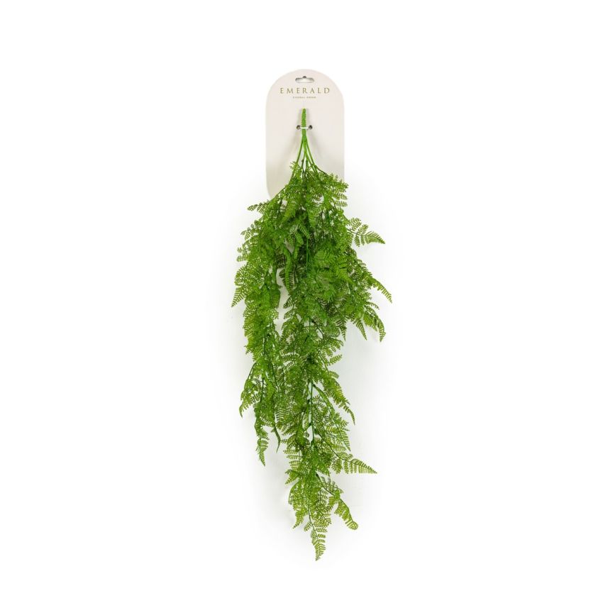 Dryoptheris fern hanging bush green 80cm