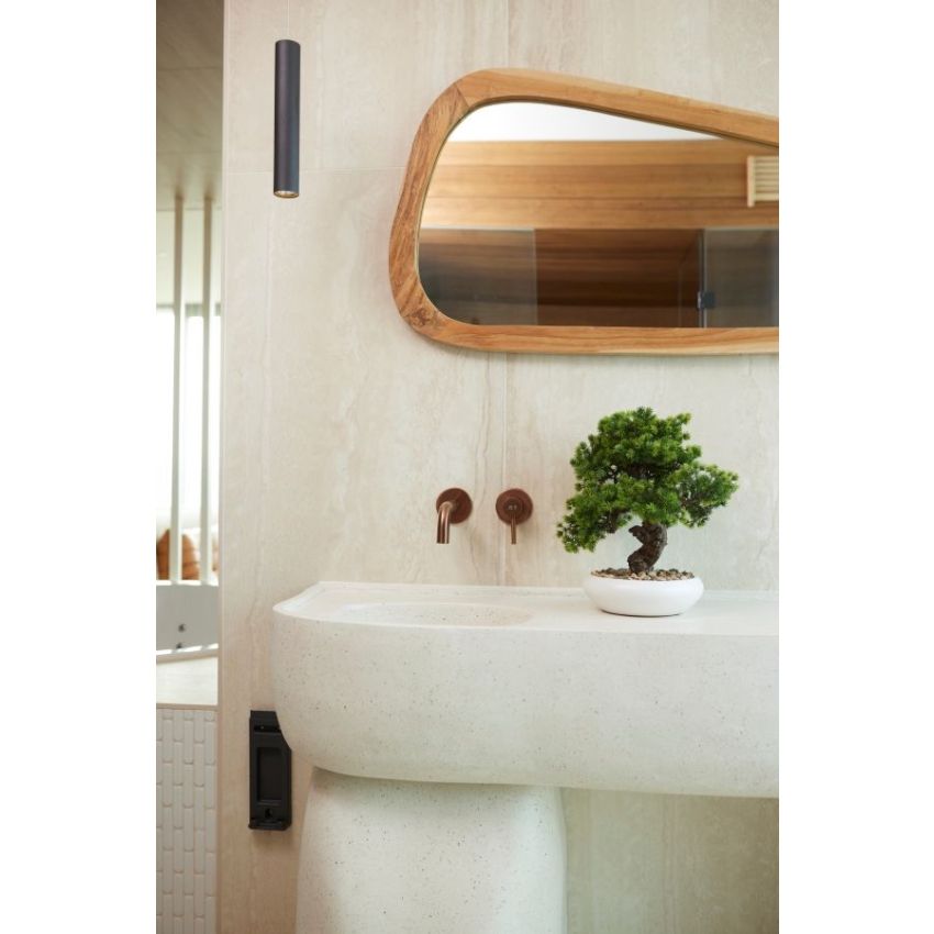 Cryptomeria japonica bonsai in bowl 37cm