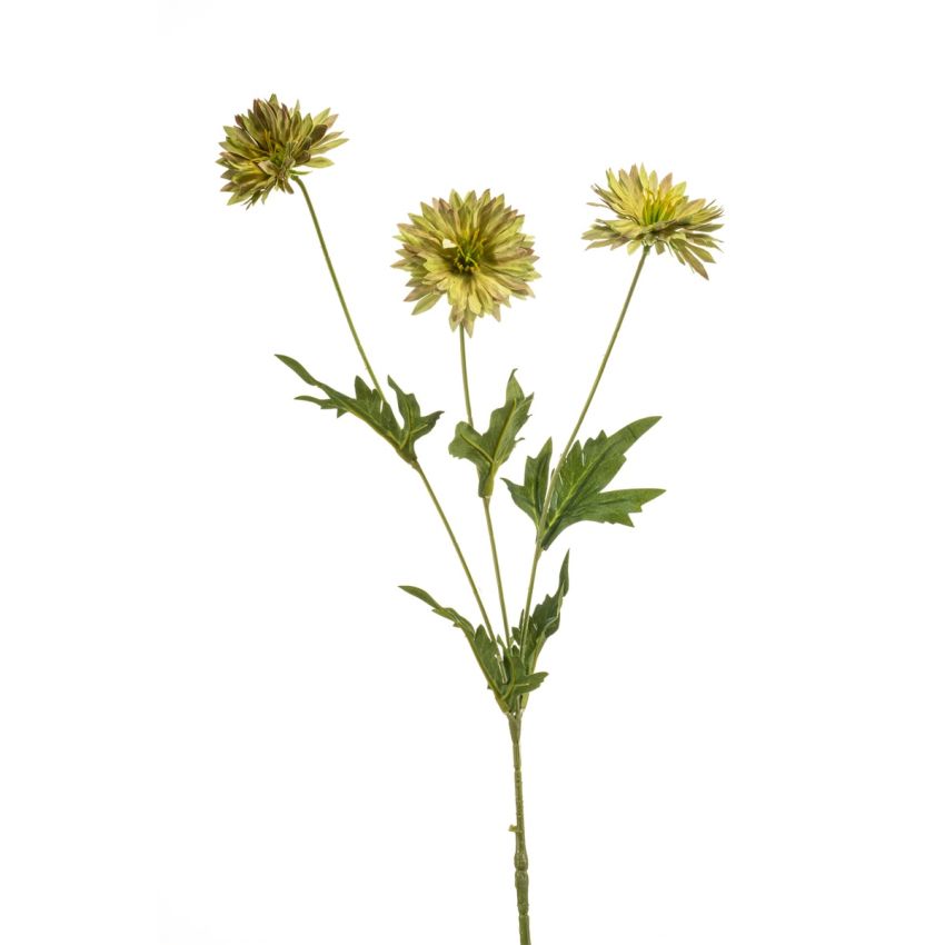 Centaurea spray green 75cm