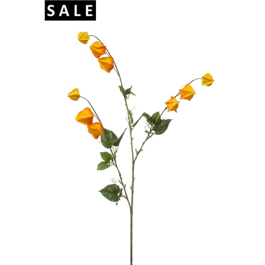 Physalis spray x3 dk yellow 95cm