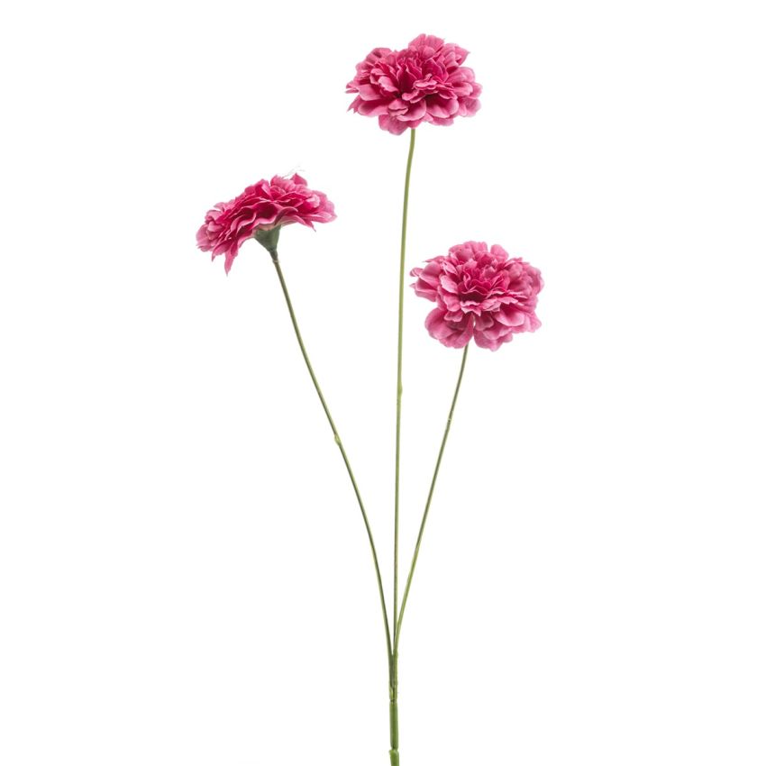 Dianthus spray fuchsia 50cm