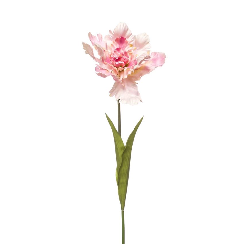 Tulip parrot spray lt pink 68cm