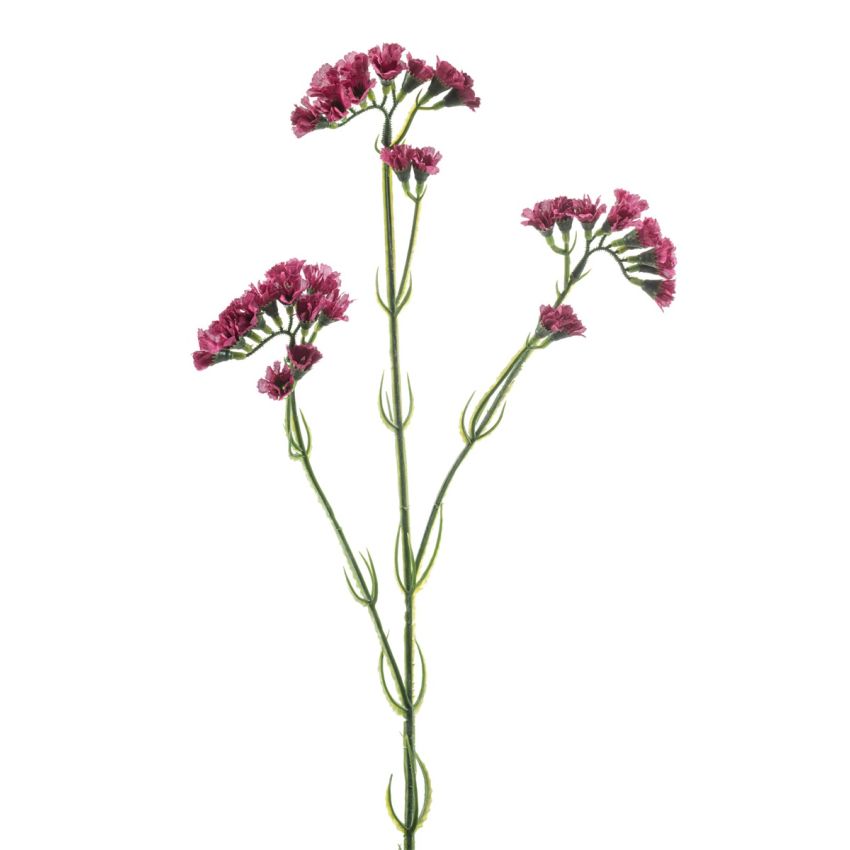 Statice spray fuchsia 62cm