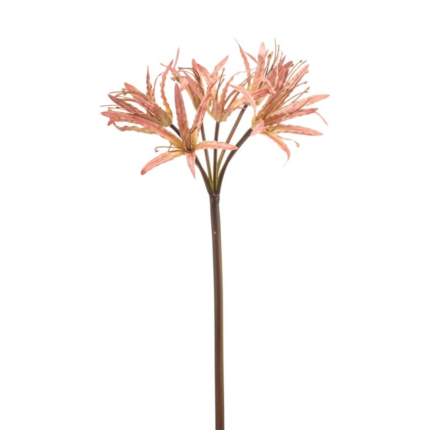 Nerine spray mauve 95cm