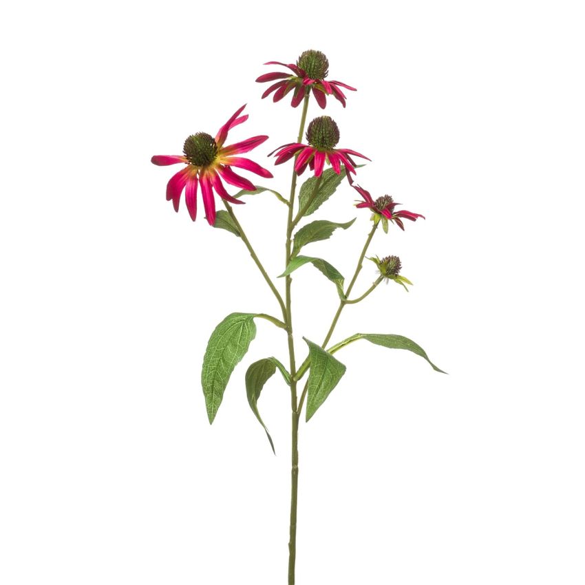 Rudbeckia spray beauty 73cm