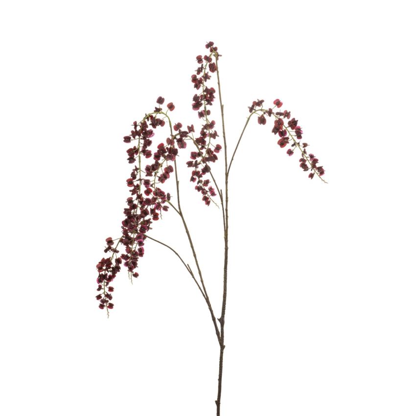 Lepidium spray burgundy 110cm