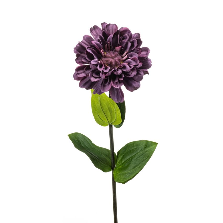 Zinnia spray purple 55cm