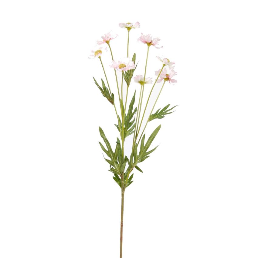Daisy wild spray lt pink 75cm