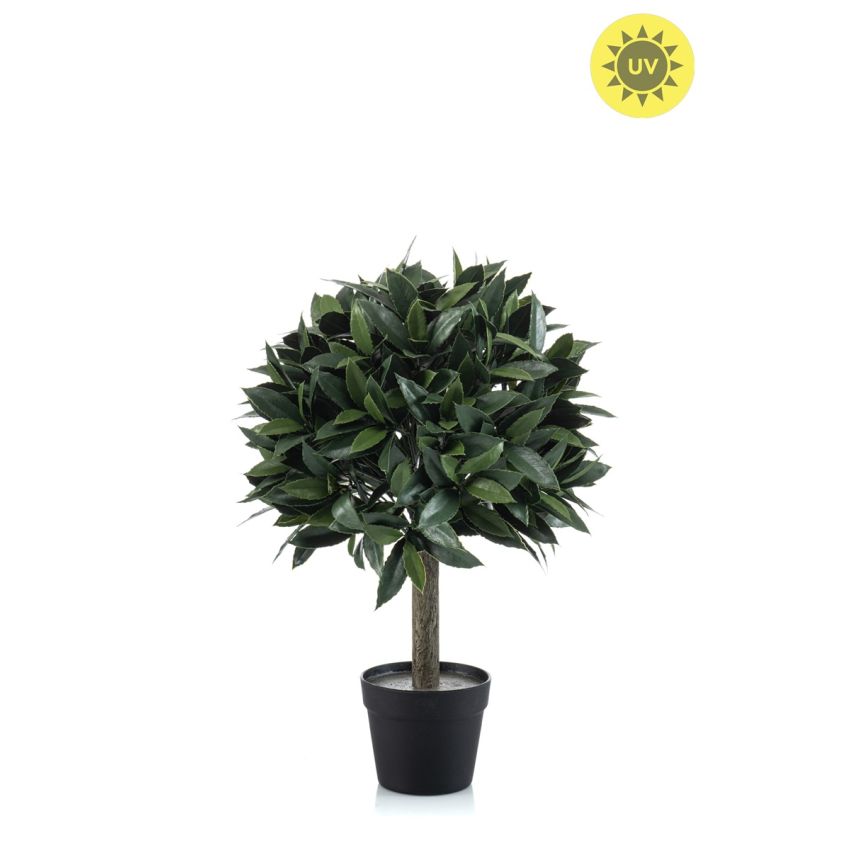 Laurel ball UV in pot 65cm