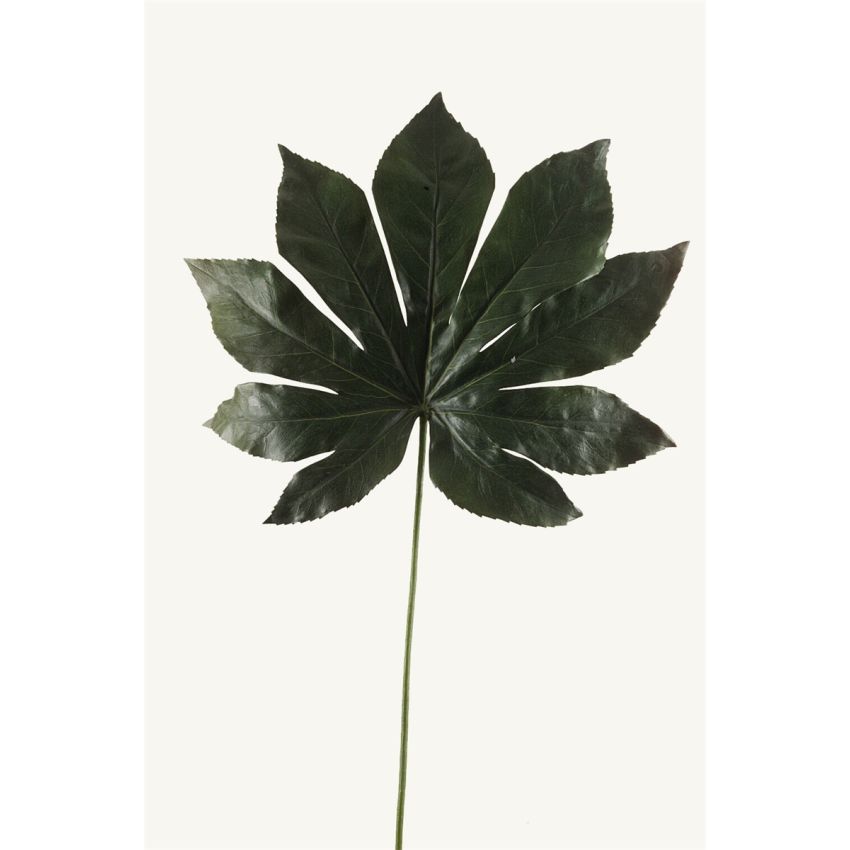 Fatsia leaf 55cm dk green