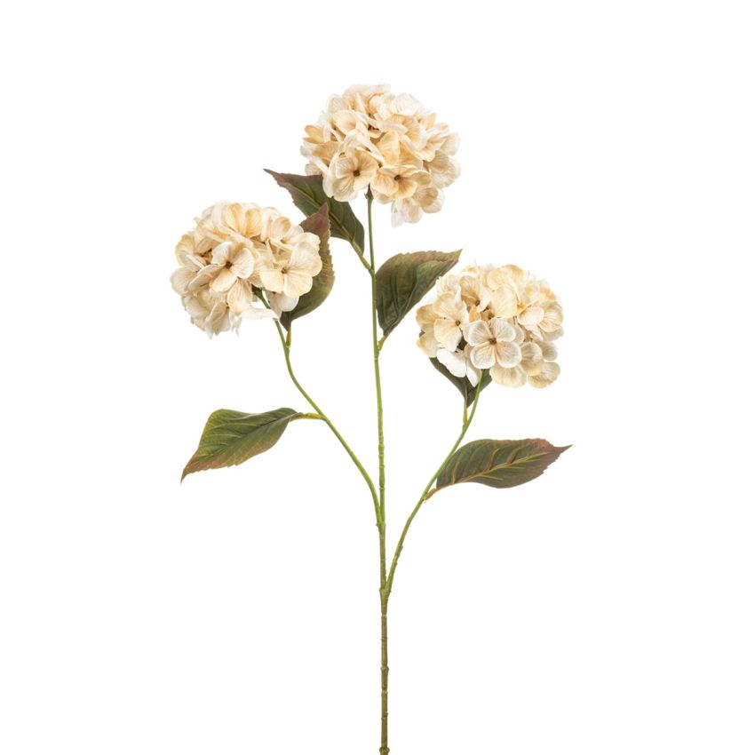 Hydrangea spray cream 77cm