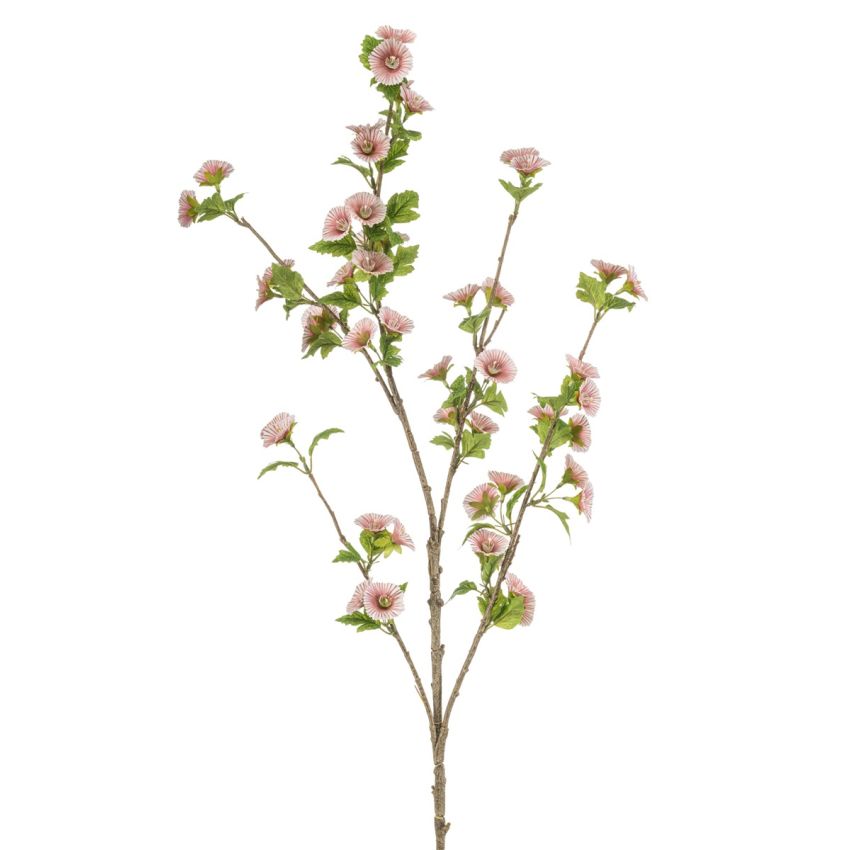 Hibiscus spray peach 109cm