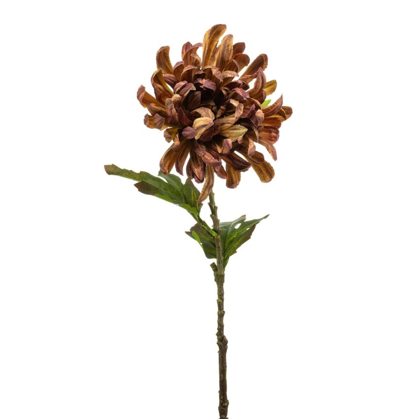 Chrysantum spray brown 60cm