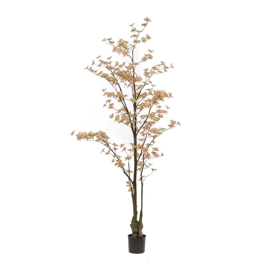 Tropaeolum plant peach/green 210cm (knock down packing)