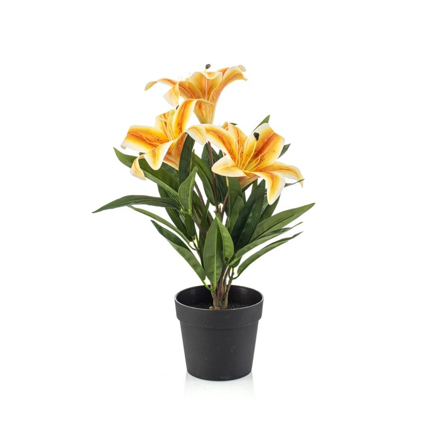 Lily yellow in pot 33cm