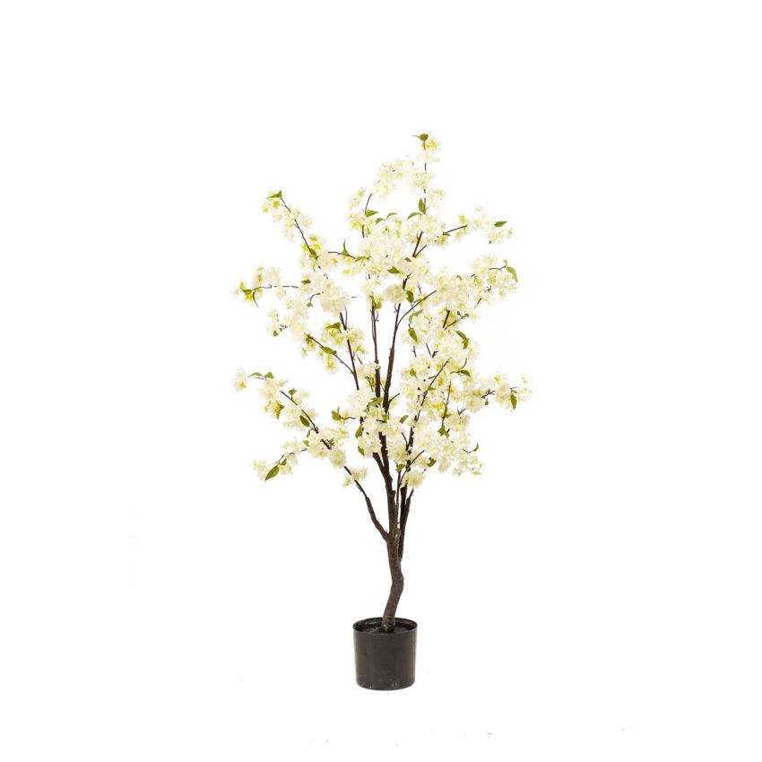 Blossom cherry tree white 135cm