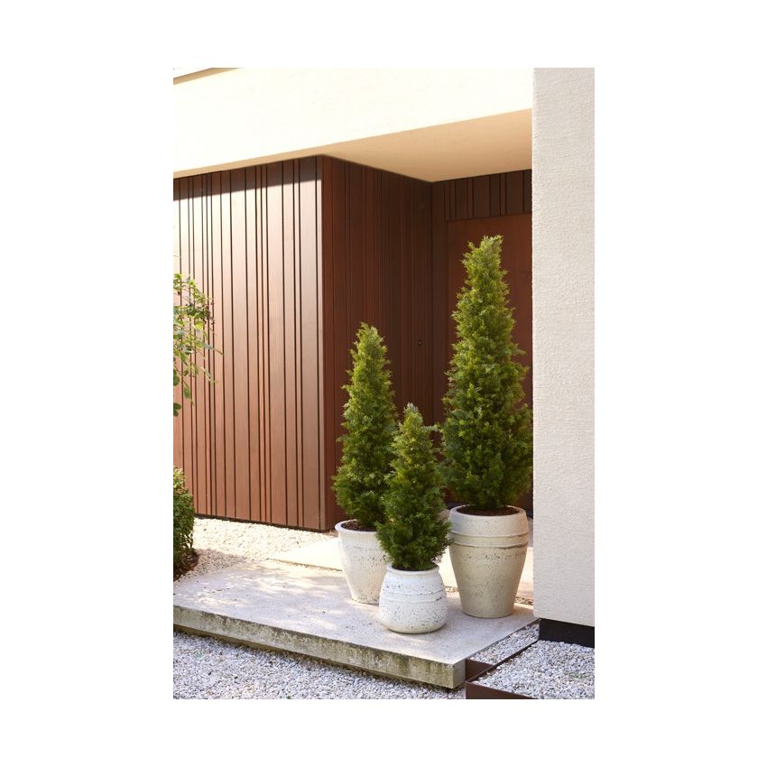 Cedar tree UV 120cm