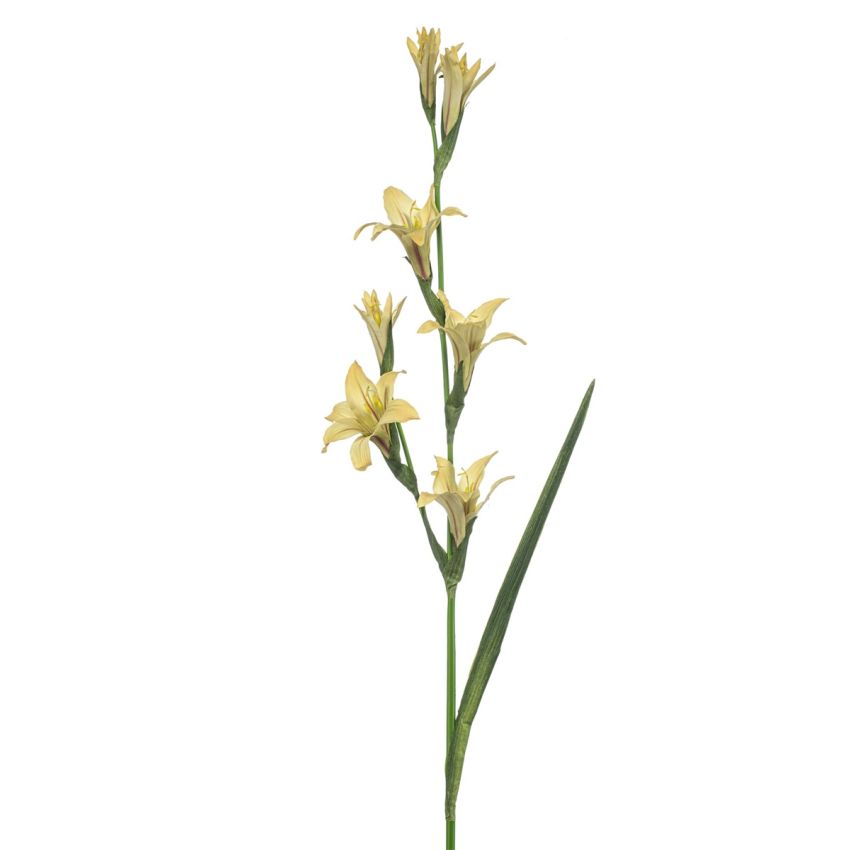 Gladiolus spray yellow 104cm