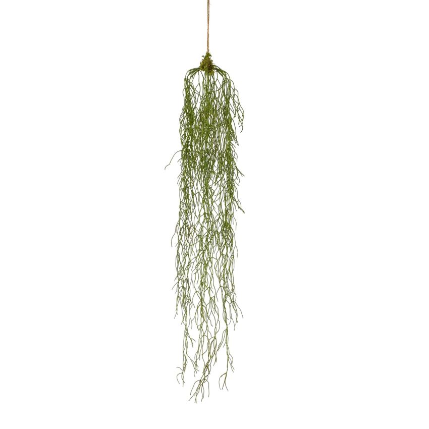 Rhipsalis hanging deco 90cm
