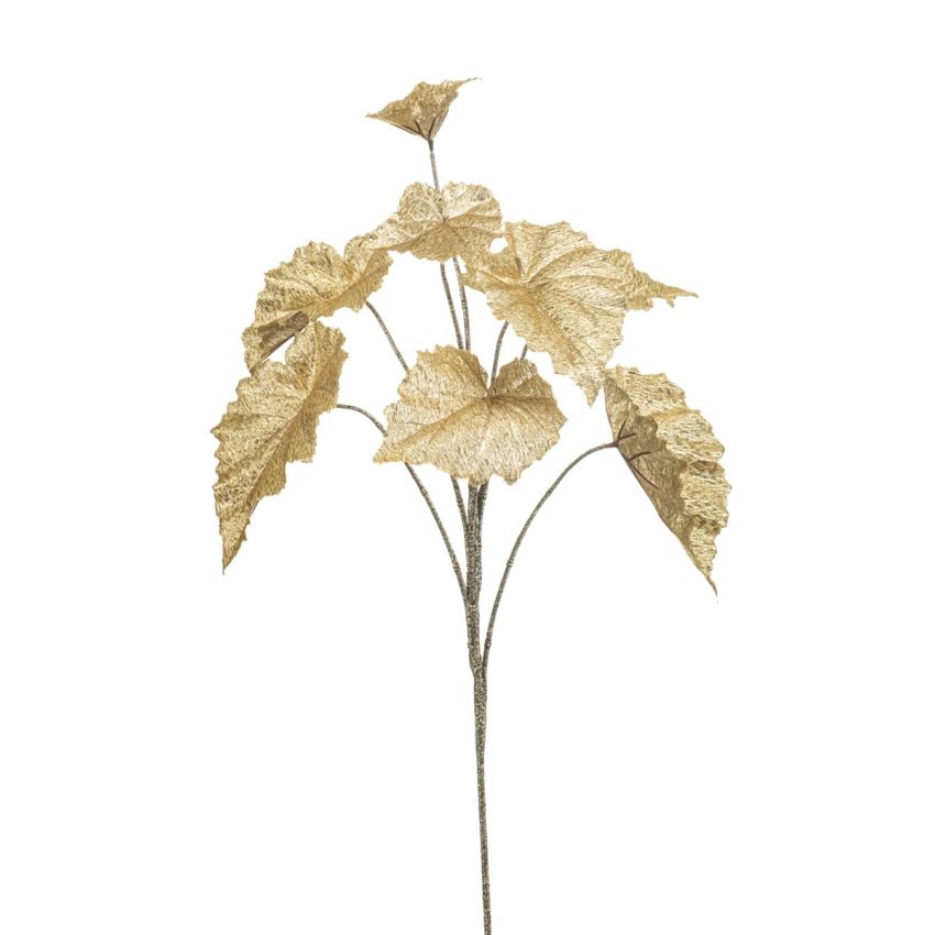 Begonia rex lvs spray gold flamed 82cm