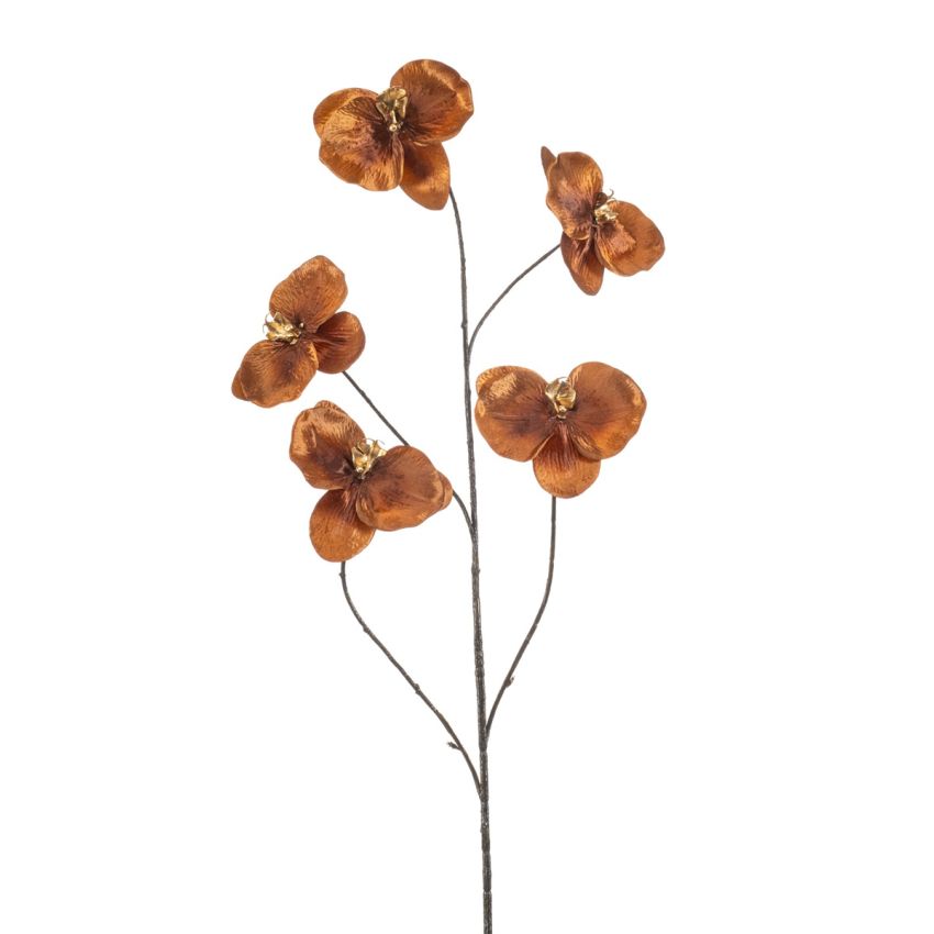 Phalaenopsis spray x5 brown 110cm