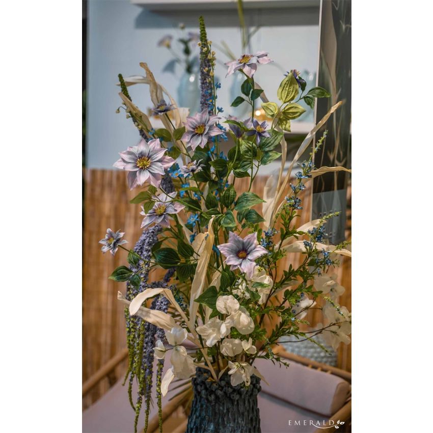 Lathyrus spray cream 75cm