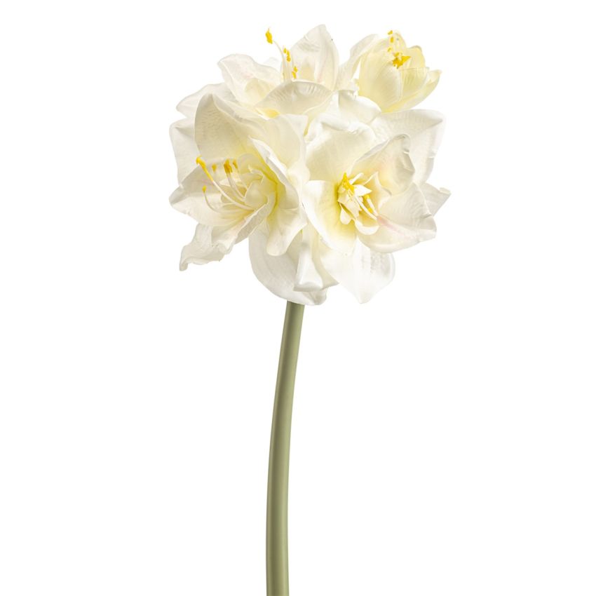 Amaryllis spray cream 72cm