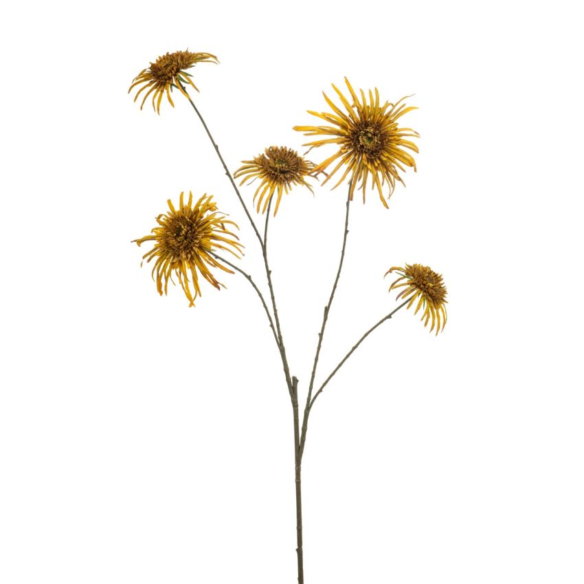 Chrysantum spider spray mustard 110cm