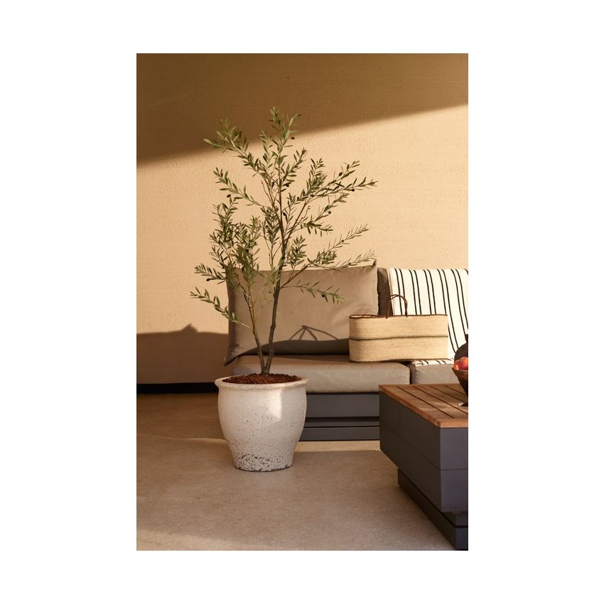 Olive tree UV 140cm