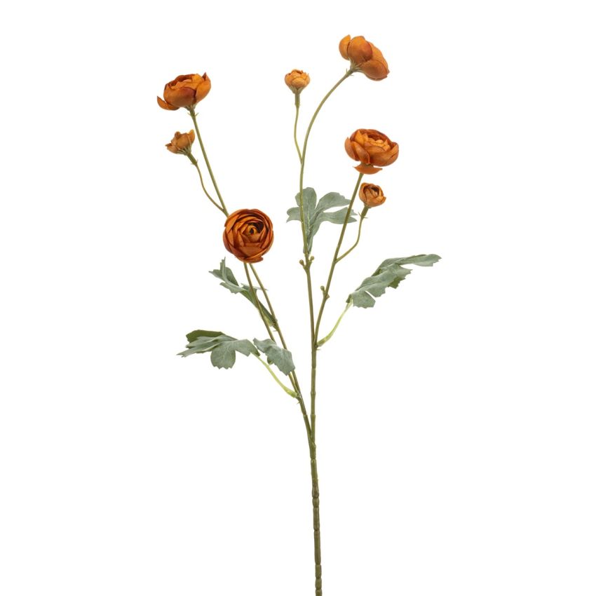 Ranunculus mini spray orange 65cm