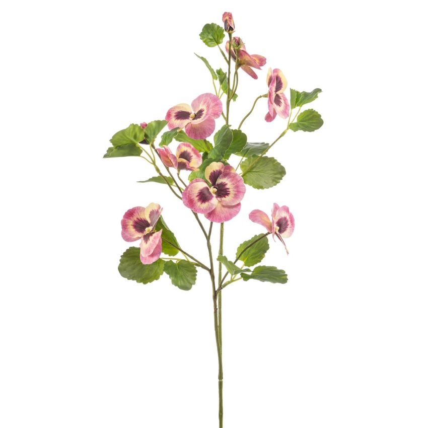 Pansy spray pink 85cm