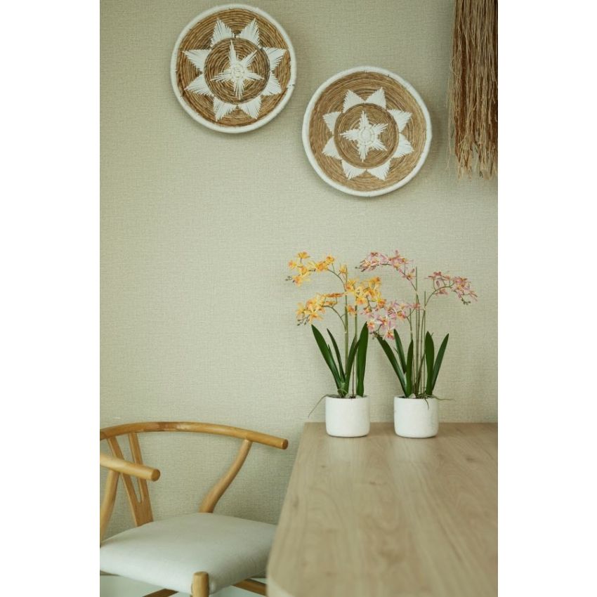 Renanthera orchid pink in pot 56cm