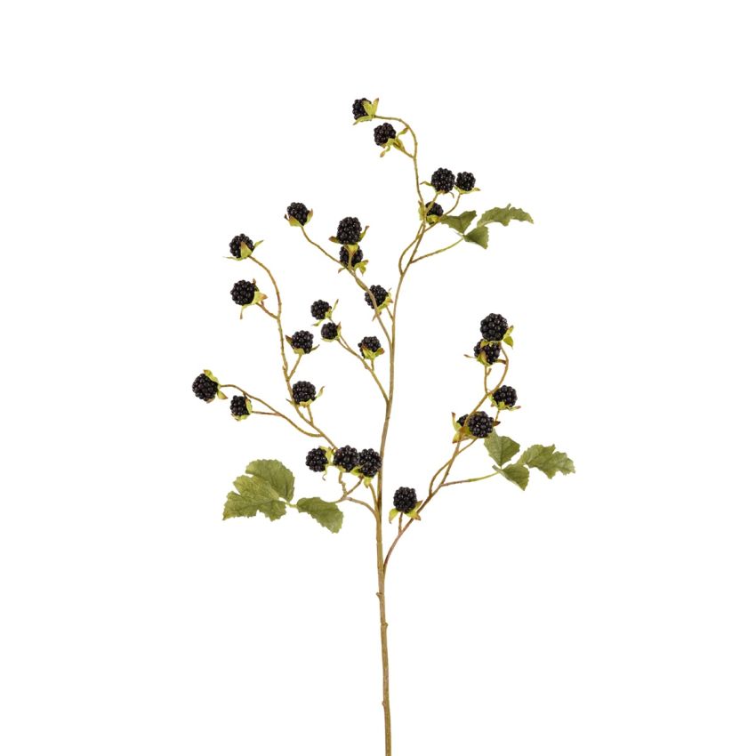 Blackberry spray black 100cm