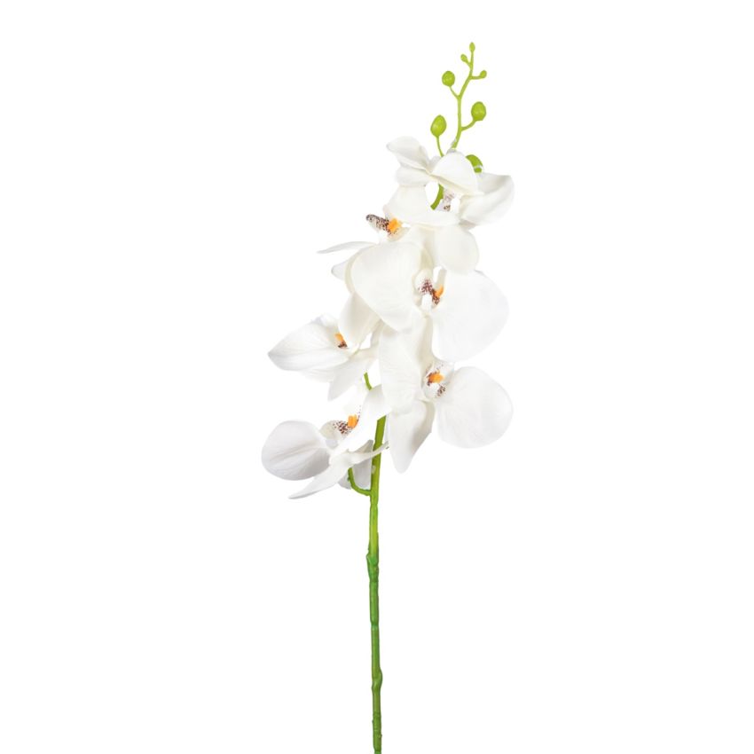 Phalaenopsis spray white/purple 84cm