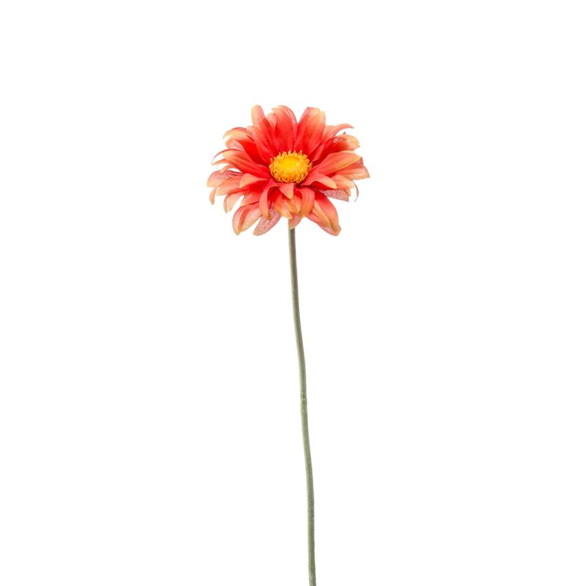 Gerbera mini spray orange 50cm