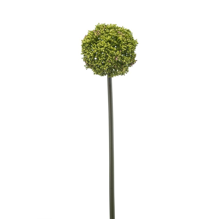 Allium spray green 74cm