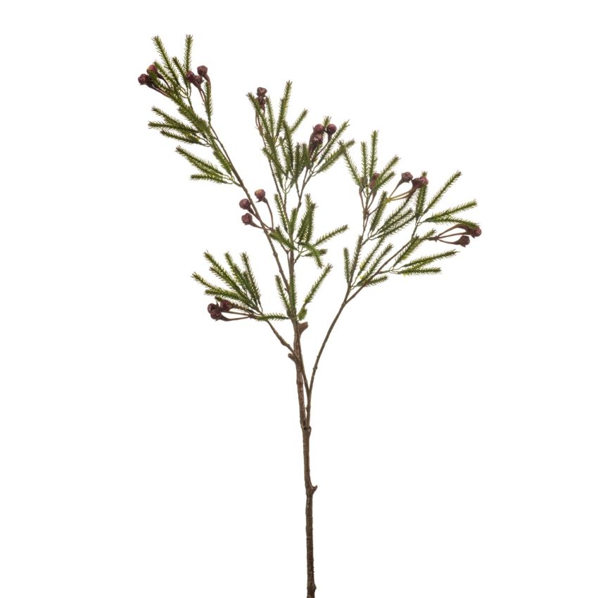 Berzelia spray burgundy 82cm